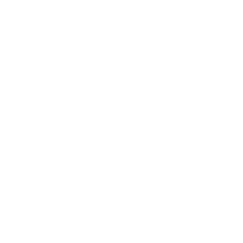 olightCheck logo